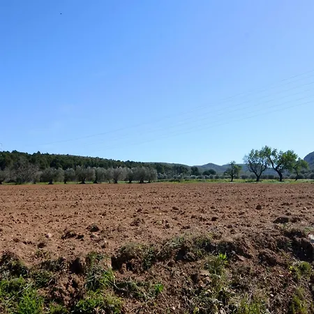 Casa vacanze Els Olivars De Bellcaire