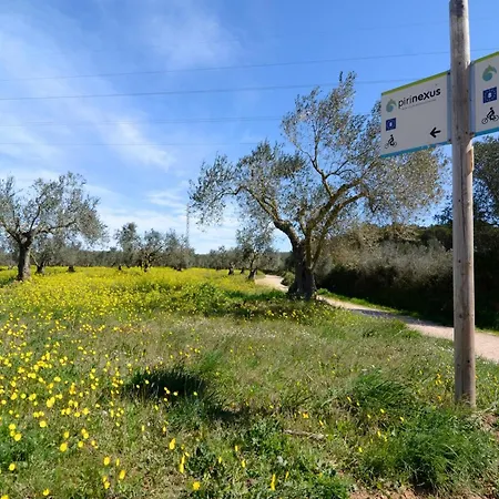 Els Olivars De Bellcaire Casa vacanze *