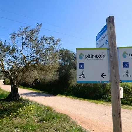 Els Olivars De Bellcaire *