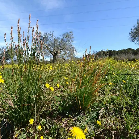 Casa vacanze Els Olivars De Bellcaire Bellcaire d'Emporda