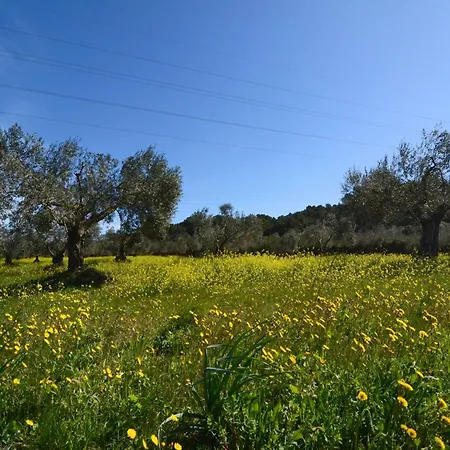 Casa vacanze Els Olivars De Bellcaire